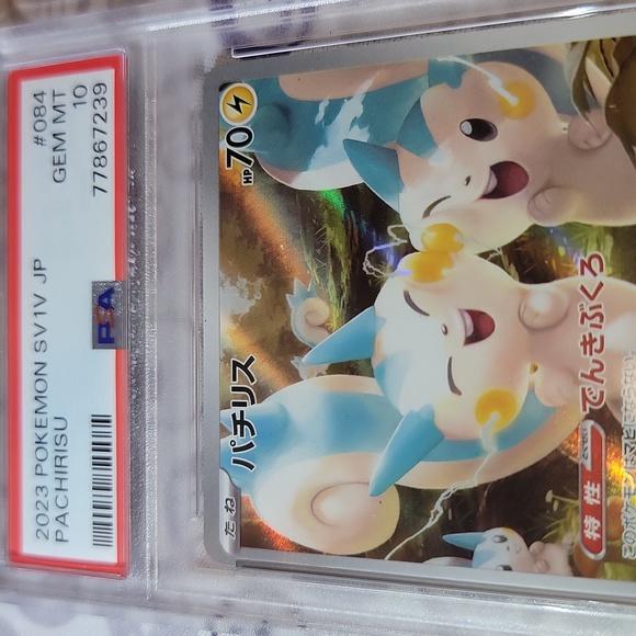 Japanese Pachirisu Art Rare Pokemon 2023 - Picture 3 of 4